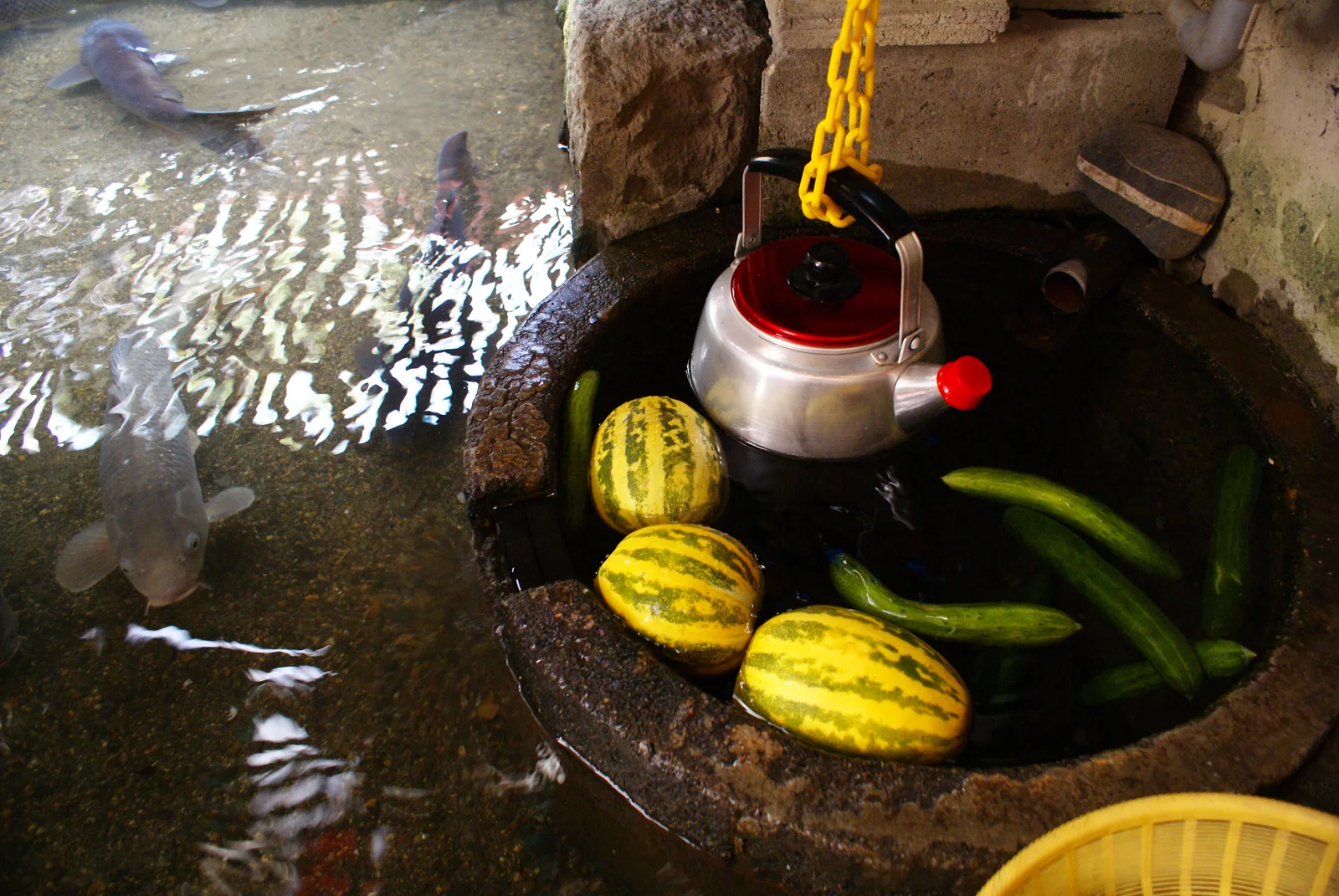 Vegetables cooling in a kabata basin beside carp in Harie, photographed in 2008